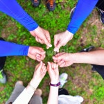 hand, 손, 화합, 모임, 하트, 사진,이미지,일러스트,캘리그라피 - honeyfilm작가 크라우드픽 - 저작권 걱정 없는 상업용 이미지