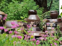 항아리, 정원, 가든, 뜰, garden, 사진,이미지,일러스트,캘리그라피 - ehsqnwk10작가 크라우드픽 - 저작권 걱정 없는 상업용 이미지