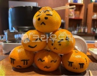fruit, 과일, 감귤류과일, 주황색, citrusfruit, 사진,이미지,일러스트,캘리그라피 - ymy1778작가 크라우드픽 - 저작권 걱정 없는 상업용... 