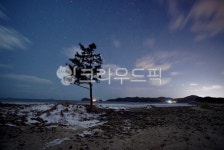 바다, 나무한그루, 별, 밤바다, 야경, 사진,이미지,일러스트,캘리그라피 - Nlikesky82작가 크라우드픽 - 저작권 걱정 없는 상업용 이미지