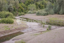 산, 계곡, 사슴, 캠핑, 요세미티, 사진,이미지,일러스트,캘리그라피 - daymo작가 크라우드픽 - 저작권 걱정 없는 상업용 이미지