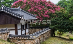 자연, 풍경, 경치, 포충사, 배롱나무꽃, 사진,이미지,일러스트,캘리그라피 - 서은작가 크라우드픽 - 저작권 걱정 없는 상업용 이미지