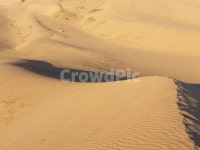 모래, 모래언덕, 모래산, 자연, 사막, 사진,이미지,일러스트,캘리그라피 - Gamal작가 크라우드픽 - 저작권 걱정 없는 상업용 이미지