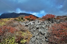 한라산, 남벽분기점, 돈내코코스, 제주도, 한라산국립공원, 사진,이미지,일러스트,캘리그라피 - Deep bLUE작가 크라우드픽 - 저작권 걱정 없는... 