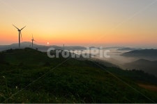 영암, 서광목장, 서광목장여명, 서광목장운해, 서광목장일출, 사진,이미지,일러스트,캘리그라피 - 영산공작가 크라우드픽 - 저작권 걱정 없는... 