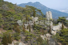 용봉산, 홍성용봉산, 산, 팔봉산, 충남금강산, 사진,이미지,일러스트,캘리그라피 - Deep bLUE작가 크라우드픽 - 저작권 걱정 없는 상업용 이미지