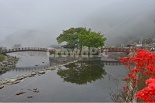 전남, 화순, 한옥마을, 물안개, 아침, 사진,이미지,일러스트,캘리그라피 - 영산공작가 크라우드픽 - 저작권 걱정 없는 상업용 이미지