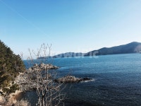 바다, 거제바다, 산, 나무, sea, 사진,이미지,일러스트,캘리그라피 - 아테나127작가 크라우드픽 - 저작권 걱정 없는 상업용 이미지