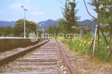 기찻길, 배경, 필름, 감성, 풍경, 사진,이미지,일러스트,캘리그라피 - 풍경좋아작가 크라우드픽 - 저작권 걱정 없는 상업용 이미지