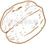 호두, 견과류, nut, walnut, 나무열매, 사진,이미지,일러스트,캘리그라피 - nut작가 크라우드픽 - 저작권 걱정 없는 상업용 이미지