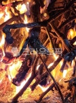 fire, 불, 불꽃, flame, 겨울, 사진,이미지,일러스트,캘리그라피 - jsora82작가 크라우드픽 - 저작권 걱정 없는 상업용 이미지