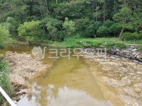 전라남도강진, 강진, 강진석문산, 석문산, 석문공원, 사진,이미지,일러스트,캘리그라피 - pswtravel작가 크라우드픽 - 저작권 걱정 없는 상업용... 