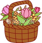 flower, tulip, spring, 꽃, 꽃바구니, 사진,이미지,일러스트,캘리그라피 - 쇼샤작가 크라우드픽 - 저작권 걱정 없는 상업용 이미지