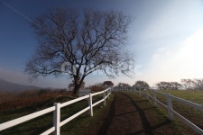 목장, 오솔길, 캠핑, 가창, 겨울산, 사진,이미지,일러스트,캘리그라피 - 반딧불작가 크라우드픽 - 저작권 걱정 없는 상업용 이미지