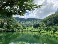 호수, 여름, 초록잎, 풍경, 경치, 사진,이미지,일러스트,캘리그라피 - N0824kyung작가 크라우드픽 - 저작권 걱정 없는 상업용 이미지