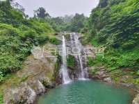 숲, 폭포, 자연, 물, nature, 사진,이미지,일러스트,캘리그라피 - fir78작가 크라우드픽 - 저작권 걱정 없는 상업용 이미지