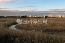 소래염전, 소래생태공원, 소래습지생태공원, 인천시, 갈대, 사진,이미지,일러스트,캘리그라피 - Deep bLUE작가 크라우드픽 - 저작권 걱정 없는... 