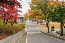 고대, 고려대, 고려대학교, 서울, 안암동, 사진,이미지,일러스트,캘리그라피 - imlover작가 크라우드픽 - 저작권 걱정 없는 상업용 이미지