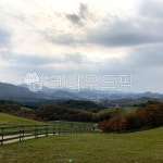 목장, 양떼목장, 대관령, 하늘, 산, 사진,이미지,일러스트,캘리그라피 - 걍조아작가 크라우드픽 - 저작권 걱정 없는 상업용 이미지