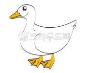 animal, 새, 오리, 거위, duck, 사진,이미지,일러스트,캘리그라피 - kkanbuMan작가 크라우드픽 - 저작권 걱정 없는 상업용 이미지