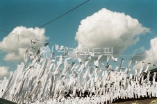 자연, sky, 하늘, 구름, 나부끼는, 사진,이미지,일러스트,캘리그라피 - joo200작가 크라우드픽 - 저작권 걱정 없는 상업용 이미지