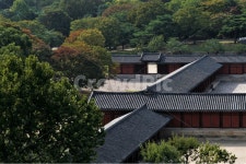 창경궁, 전통, 고궁, 가을, 풍경, 사진,이미지,일러스트,캘리그라피 - 양기리작가 크라우드픽 - 저작권 걱정 없는 상업용 이미지