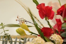 스위트피, sweetpea, flower, bolssom, 꽃, 사진,이미지,일러스트,캘리그라피 - joyfulharu작가 크라우드픽 - 저작권 걱정 없는 상업용... 