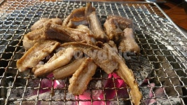 꼼장어, 숯불구이, 꼼장어구이, 숯불, 안주, 사진,이미지,일러스트,캘리그라피 - 슈로더작가 크라우드픽 - 저작권 걱정 없는 상업용 이미지