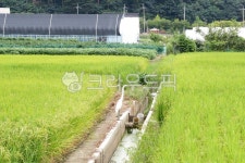 새, bird, nature, 자연, grassland, 사진,이미지,일러스트,캘리그라피 - 단숨작가 크라우드픽 - 저작권 걱정 없는 상업용 이미지