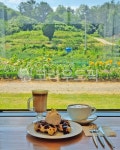 카페, 커피, 카페라떼, 라떼, 커피잔, 사진,이미지,일러스트,캘리그라피 - 늑돌이작가 크라우드픽 - 저작권 걱정 없는 상업용 이미지