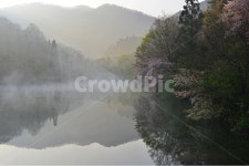 전남, 화순, 세량지, 세량제, 물안개, 사진,이미지,일러스트,캘리그라피 - 영산공작가 크라우드픽 - 저작권 걱정 없는 상업용 이미지