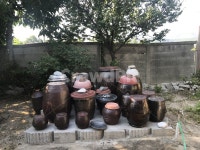항아리, 시골, 뒷뜰, 할머니네, 할머니집, 사진,이미지,일러스트,캘리그라피 - KOO27작가 크라우드픽 - 저작권 걱정 없는 상업용 이미지