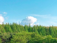 구름, 초록초록, 깨끗함, 봄, 흰구름, 사진,이미지,일러스트,캘리그라피 - Ellen mood작가 크라우드픽 - 저작권 걱정 없는 상업용 이미지