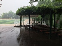 등나무, 학교등나무, 비오는학교, 학교운동장, 쓸쓸함, 사진,이미지,일러스트,캘리그라피 - 크리스마스작가 크라우드픽 - 저작권 걱정 없는 상업용... 