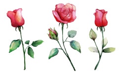 일러스트, 배경, 이벤트, 백그라운드, 질감, 사진,이미지,일러스트,캘리그라피 - OK디자인작가 크라우드픽 - 저작권 걱정 없는 상업용 이미지