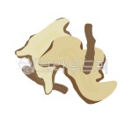 한약, 한약재, 한의원, 한방, 당귀, 사진,이미지,일러스트,캘리그라피 - 하이한약작가 크라우드픽 - 저작권 걱정 없는 상업용 이미지