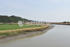 순천, 순천만, 습지, 산, 야외, 사진,이미지,일러스트,캘리그라피 - vista작가 크라우드픽 - 저작권 걱정 없는 상업용 이미지