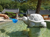 약수터, 거북, 한국여행, travelinKorea, 내소사, 사진,이미지,일러스트,캘리그라피 - blackteadom작가 크라우드픽 - 저작권 걱정 없는... 