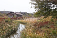 소금창고, 창고, 옛날창고, 시흥갯골생태공원, 식물, 사진,이미지,일러스트,캘리그라피 - 함께사는세상작가 크라우드픽 - 저작권 걱정 없는 상업용... 