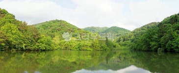 세량지, 파노라마, 반영, 나무, 자연, 사진,이미지,일러스트,캘리그라피 - pandora4077작가 크라우드픽 - 저작권 걱정 없는 상업용 이미지