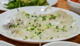 오징어회, 오징어, 회, squidsashimi, squid, 사진,이미지,일러스트,캘리그라피 - fm규니작가 크라우드픽 - 저작권 걱정 없는 상업용 이미지