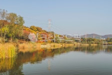 인천대공원, 공원, 호수, 물, 수면, 사진,이미지,일러스트,캘리그라피 - imlover작가 크라우드픽 - 저작권 걱정 없는 상업용 이미지