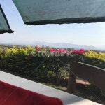 테라스, 발코니, 풍경, 점심, 멕시코, 사진,이미지,일러스트,캘리그라피 - Nleeny960428작가 크라우드픽 - 저작권 걱정 없는 상업용 이미지