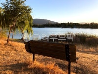 bench, 벤치, 공원, 산책, 외로움, 사진,이미지,일러스트,캘리그라피 - 사공오팬트리작가 크라우드픽 - 저작권 걱정 없는 상업용 이미지