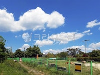 반려견놀이터, 공원, 놀이터, 옥외, 개놀이터, 사진,이미지,일러스트,캘리그라피 - Deep bLUE작가 크라우드픽 - 저작권 걱정 없는 상업용 이미지