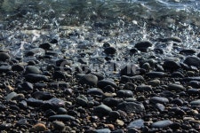 바다, 몽돌, 자연, 색감, 검은색돌, 사진,이미지,일러스트,캘리그라피 - 누부작가 크라우드픽 - 저작권 걱정 없는 상업용 이미지