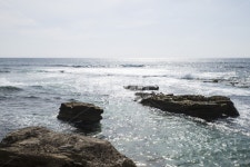 바다, 비치, 라호야코브, 미국, 캘리포니아, 사진,이미지,일러스트,캘리그라피 - chastar작가 크라우드픽 - 저작권 걱정 없는 상업용 이미지