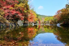 고창선운사도솔천, 고창선운사, 고창도솔천, 선운사도솔천, 선운교, 사진,이미지,일러스트,캘리그라피 - 영산공작가 크라우드픽 - 저작권 걱정... 