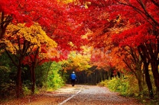 광주, 북구, 무등산, 풍암정, 풍암정가는길, 사진,이미지,일러스트,캘리그라피 - 영산공작가 크라우드픽 - 저작권 걱정 없는 상업용 이미지