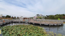 안성, 공원, 연못, 안성맞춤랜드, plant, 사진,이미지,일러스트,캘리그라피 - Scott79작가 크라우드픽 - 저작권 걱정 없는 상업용 이미지